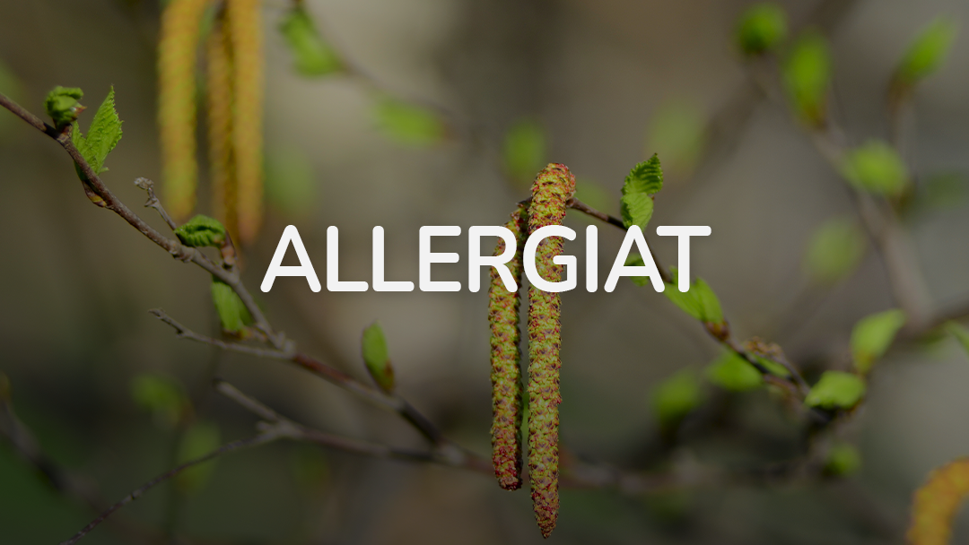 Allergiat