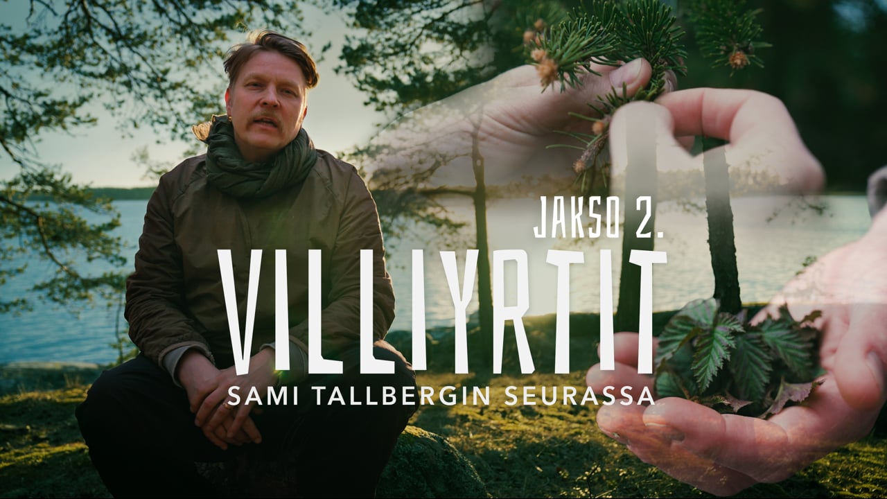 Jakso 2 - Villiyrtit Sami Tallbergin seurassa