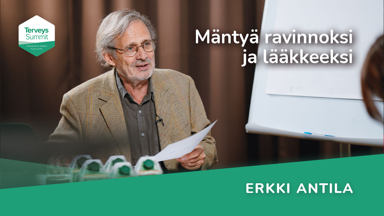 Mäntyä ravinnoksi ja lääkkeeksi - Erkki Antila